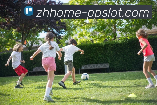 PP电子官网发展历程